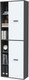 Миниатюра изображения товара Шкаф Интерлиния Skill-22 (2) (антрацит/белый платинум)