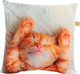 Миниатюра изображения товара Подушка декоративная MATEX Fantasy Line. Рыжий кот спит / 31-116 (оранжевый/розовый/белый)