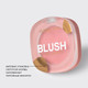 Миниатюра изображения товара Румяна Vivienne Sabo Macaron Матовые тон 03 нежно-розовый (4.1г)