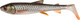 Мягкая приманка Savage Gear 3d Whitefish Shad 1610764 — фото 6
