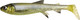 Миниатюра изображения товара Мягкая приманка Savage Gear 3d Whitefish Shad 1618603