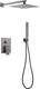 Миниатюра изображения товара Душевая система со смесителем Abber Daheim AF8219NG (никель)