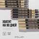 Миниатюра изображения товара Карандаш для бровей Stellary Eyebrow pencil тон 100 пепельно-коричневый (1.35г)