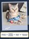 Миниатюра изображения товара Игрушка для кошек Fancy Pets Голубь / FPS29