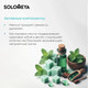 Миниатюра изображения товара Спрей для полости рта Solomeya Fresh Breath Прохладная мята (20мл)