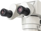 Миниатюра изображения товара Микроскоп оптический Микромед MC-А-0880-tilt / 28260