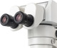 Миниатюра изображения товара Микроскоп оптический Микромед MC-А-0880-tilt / 28260