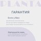 Миниатюра изображения товара Гидромассажная ванночка PLANTA MFS-600