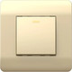 Миниатюра изображения товара Выключатель Chint NEW3-E 10А / 431392 (шампань)