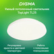 Миниатюра изображения товара Потолочный светильник Digma TopLight TL25 (белый)