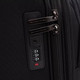 Миниатюра изображения товара Чемодан на колесах Francesco Molinary 336-DL935-17BLK (черный)