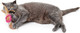 Миниатюра изображения товара Игрушка для кошек HUNTER Toy Cat Moa Doubleball / 67737