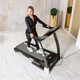 Миниатюра изображения товара Электрическая беговая дорожка DFC Siluet Fitness T0005S