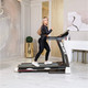 Миниатюра изображения товара Электрическая беговая дорожка DFC Siluet Fitness T0005S