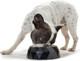 Миниатюра изображения товара Миска для животных HUNTER Bowl Kimberley 160 ml/ 64395 (черный)