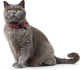 Миниатюра изображения товара Ошейник HUNTER Collar Cat by Laura / 65946 (красный)