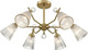 Миниатюра изображения товара Люстра Lumion Aurica 8046/6C