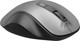 Миниатюра изображения товара Мышь Оклик 504MW (черный/серый)