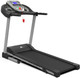 Миниатюра изображения товара Электрическая беговая дорожка DFC Walker Evo Pro / T-S1 Pro