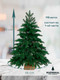 Миниатюра изображения товара Ель искусственная National Tree Company Ариадна / АРД-90 (90см)