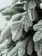 Миниатюра изображения товара Ель искусственная National Tree Company Ариадна заснеженная / АРД/ЗСН-240 (240см)