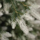 Миниатюра изображения товара Ель искусственная National Tree Company Форест / ФОР/зл-бел-190 (190см)
