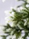 Миниатюра изображения товара Ель искусственная National Tree Company Форест ФОР/зл-бел-220 (220см)