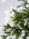 Миниатюра изображения товара Ель искусственная National Tree Company Форест ФОР/зл-бел-220 (220см)