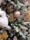 Миниатюра изображения товара Ель искусственная National Tree Company Форест ФОР/зл-бел-220 (220см)