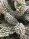 Миниатюра изображения товара Ель искусственная National Tree Company Сказка заснеженная /СК/ЗСН-190 (190см)