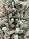 Миниатюра изображения товара Ель искусственная National Tree Company Сказка заснеженная / СК/ЗСН-220 (220см)