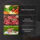 Миниатюра изображения товара Вакуумный упаковщик Zigmund & Shtain VS-509