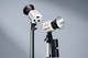 Миниатюра изображения товара Осветитель студийный Godox ML60II Bi Kit1 / 31656