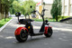 Миниатюра изображения товара Электроскутер AVM Citycoco Pro / pm195489612 (красный)