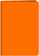 Миниатюра изображения товара Записная книжка Listoff Neon / БНККЛ6484324 (оранжевый)