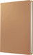 Миниатюра изображения товара Ежедневник Listoff Paragraph / ЕКП52115206 (какао)
