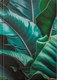 Миниатюра изображения товара Записная книжка Listoff Стрелиция / КЗ41604351