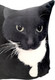 Миниатюра изображения товара Подушка декоративная Malvina Максвелл Кот Мем / 9.438.1