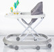 Миниатюра изображения товара Ходунки Babyhit Jolly Ride / BW110 (серый)