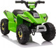 Миниатюра изображения товара Детский квадроцикл RiverToys H001HH (зеленый)