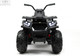 Миниатюра изображения товара Детский квадроцикл RiverToys H999HH (черный)