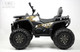 Миниатюра изображения товара Детский квадроцикл RiverToys H999HH (камуфляж)