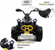Миниатюра изображения товара Детский квадроцикл RiverToys BRP Can-Am Renegade Y333YY (белый)