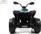 Миниатюра изображения товара Детский квадроцикл RiverToys BRP Can-Am Renegade Y333YY (синий)