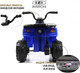 Миниатюра изображения товара Детский квадроцикл RiverToys L222LL (синий)