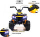 Миниатюра изображения товара Детский квадроцикл RiverToys L222LL (желтый)