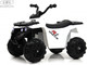 Миниатюра изображения товара Детский квадроцикл RiverToys L222LL (белый)