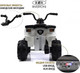 Миниатюра изображения товара Детский квадроцикл RiverToys L222LL (белый)