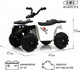 Миниатюра изображения товара Детский квадроцикл RiverToys L222LL (белый)