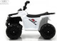 Миниатюра изображения товара Детский квадроцикл RiverToys L222LL (белый)